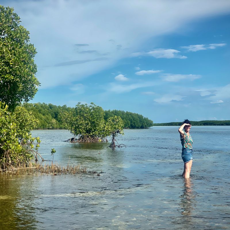 Coastal Scouting