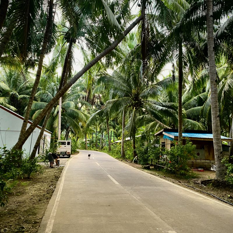 Bantayan Roads