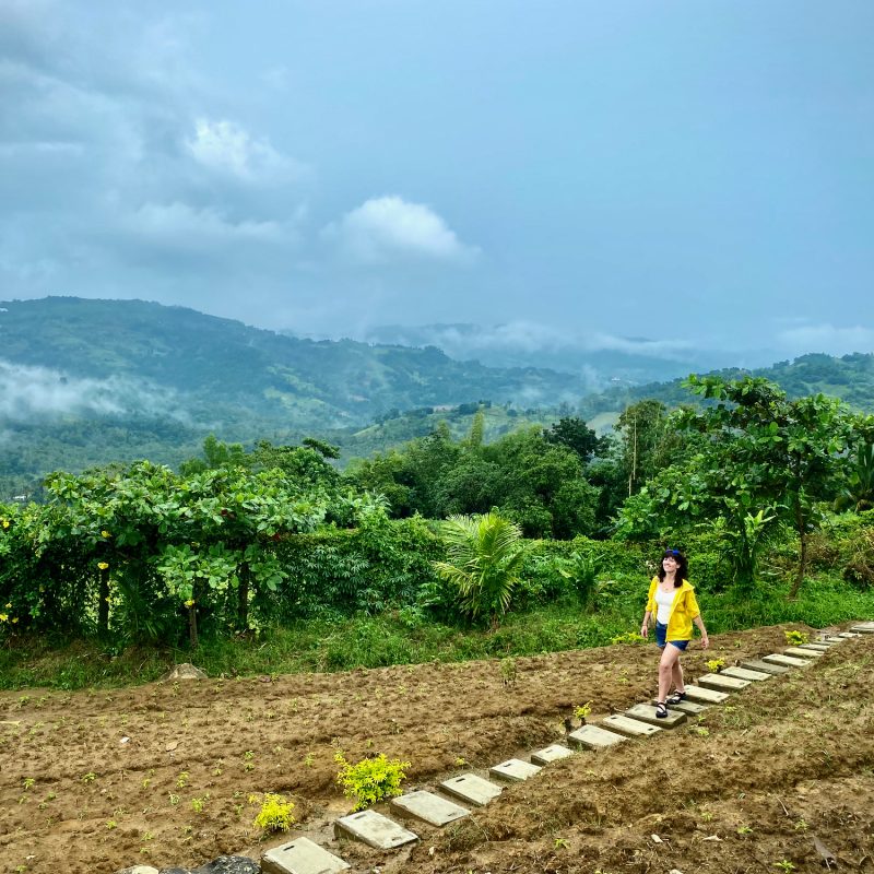 Walking Up Top