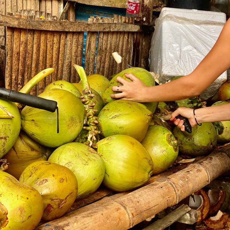 Coconut Chopper
