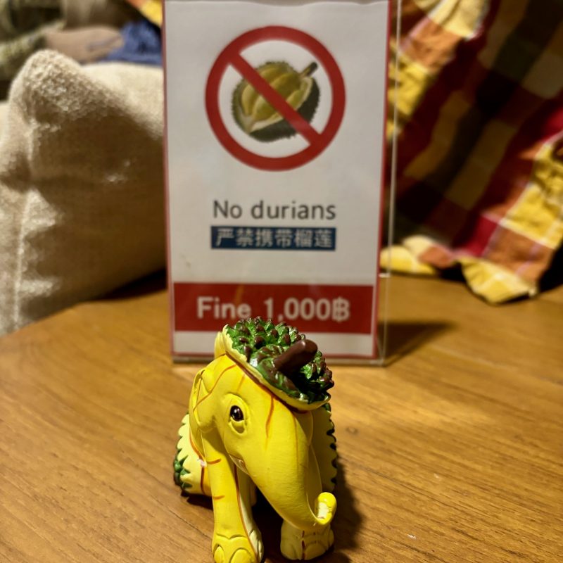 Banned Elephant