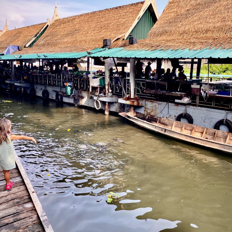 Floating Markets & Fish Feeding