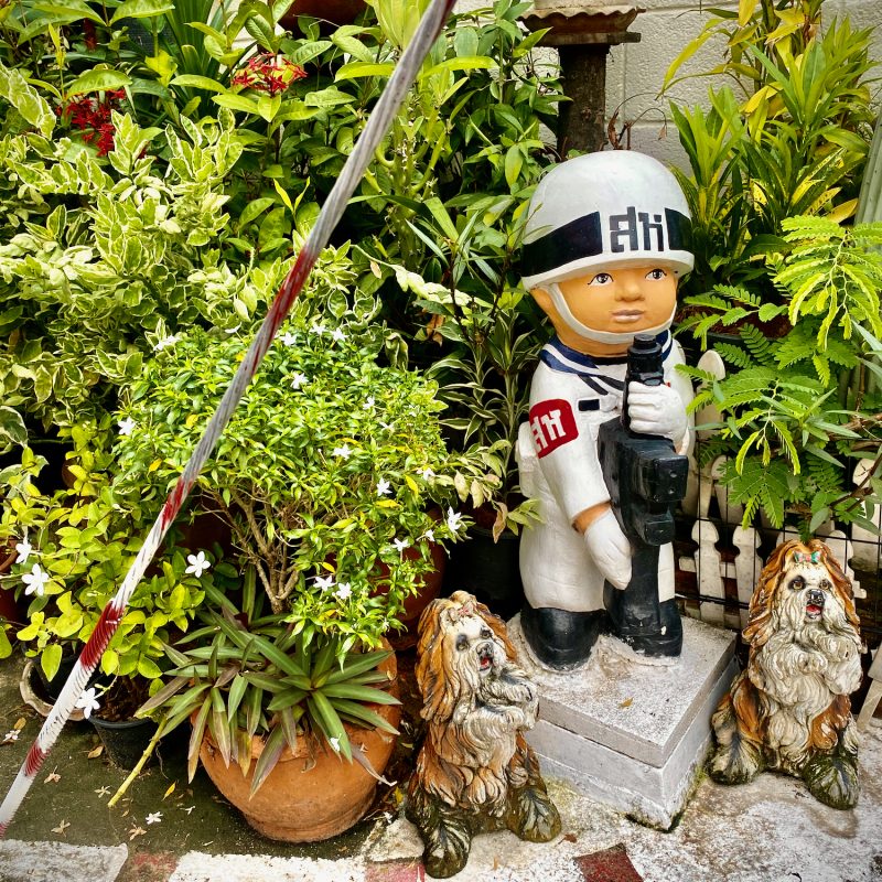 Thai Lawn Gnomes Hit Different