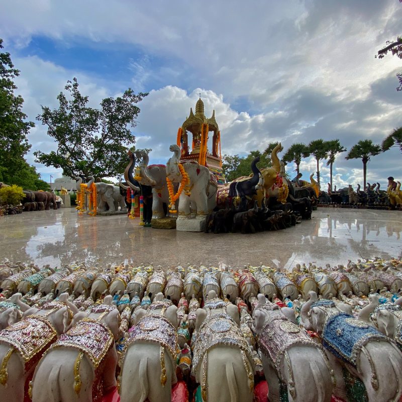 Elephant Arrangement
