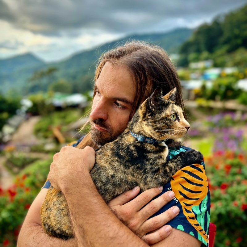 Doi Pui Kitty