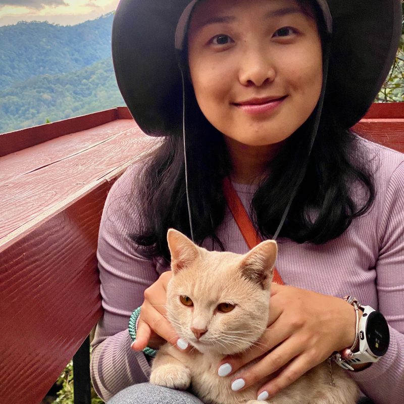 Doi Pui Kitty II