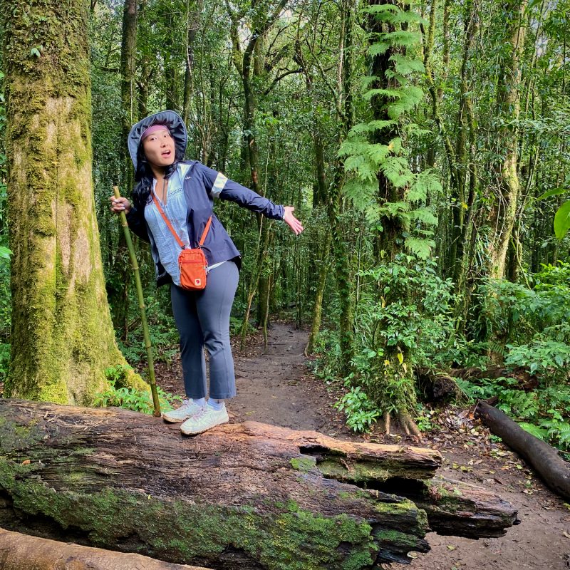 Hiking in the Mountain Jungle