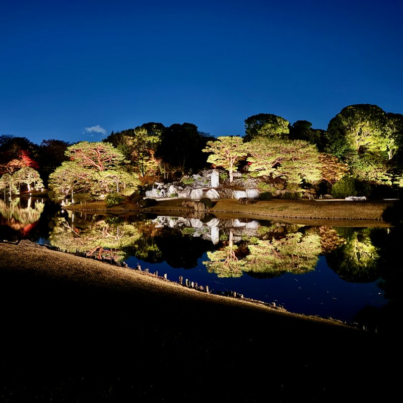 Rikugien Park at Night