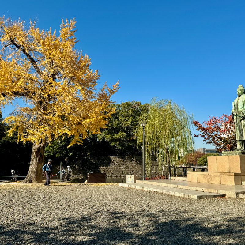 Autumn Near Chiyoda City