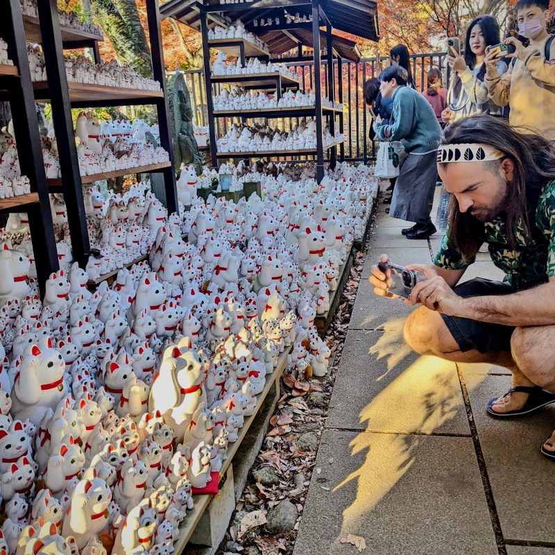 Gotukuji Action Shot from Claire!