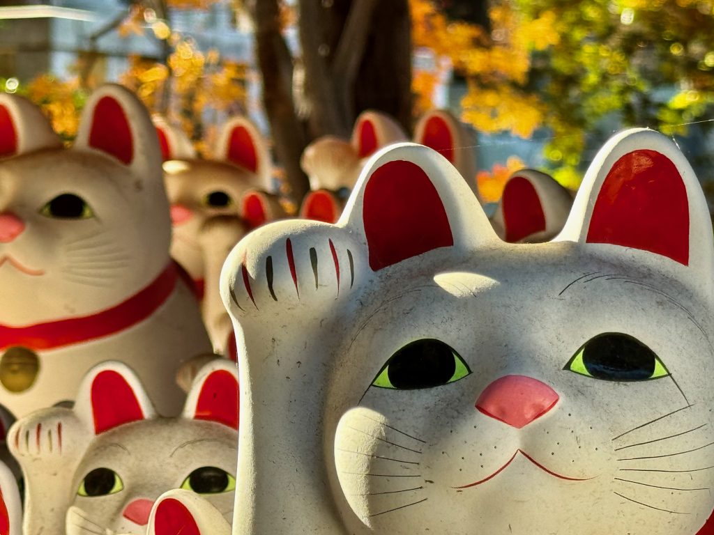 The Return: December in Tokyo