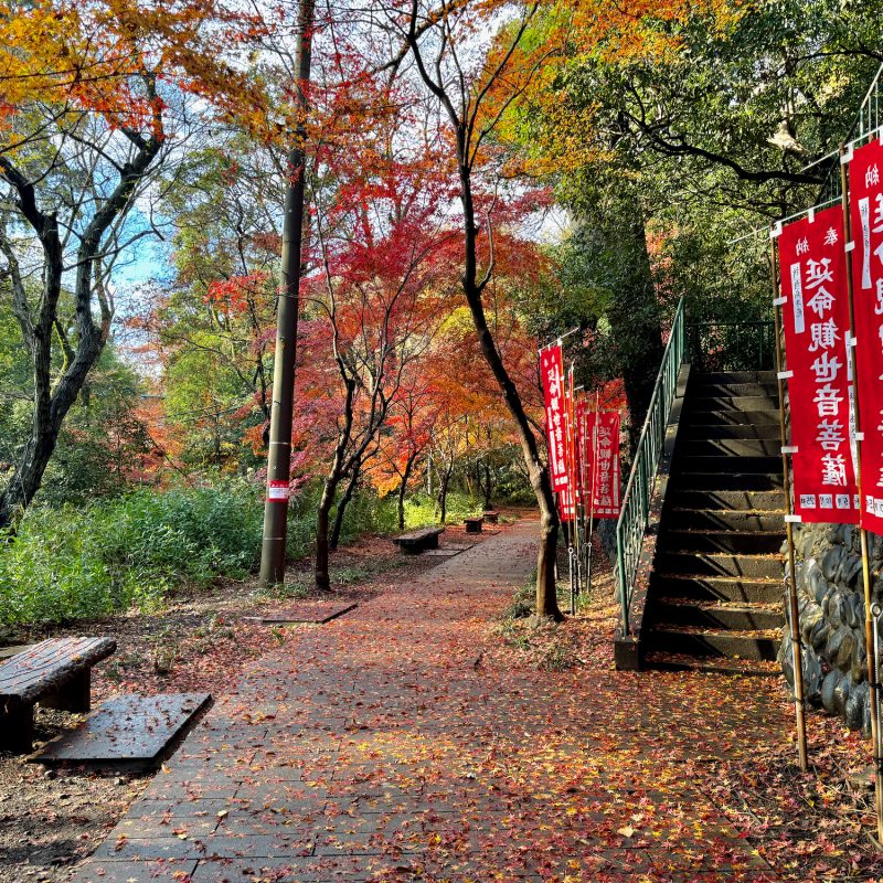 Path Strewn With Leaves