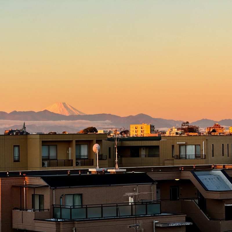 Epic Fuji Views from the City