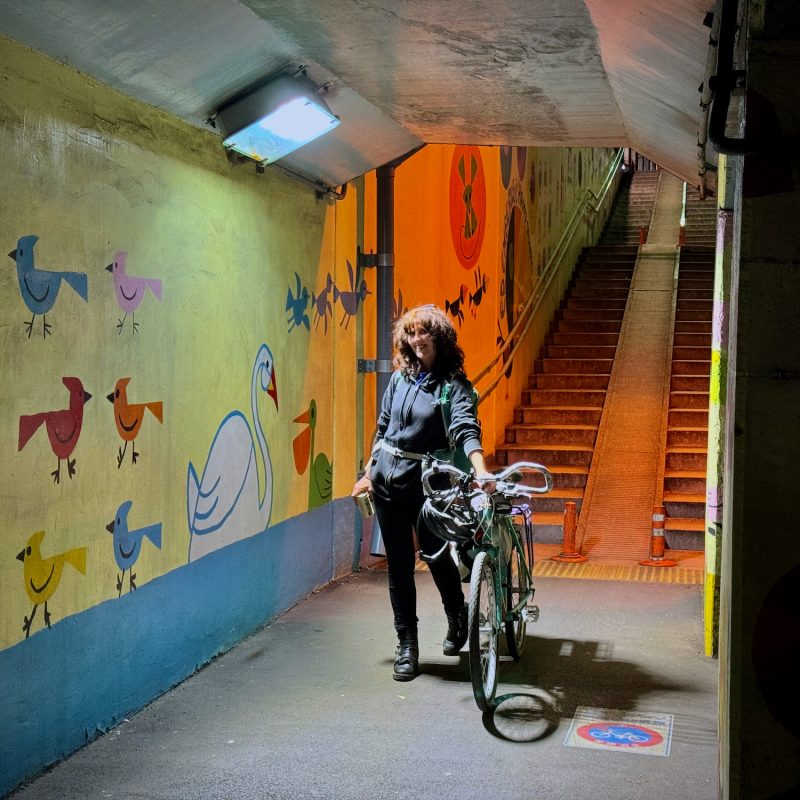 Tunnel Rider
