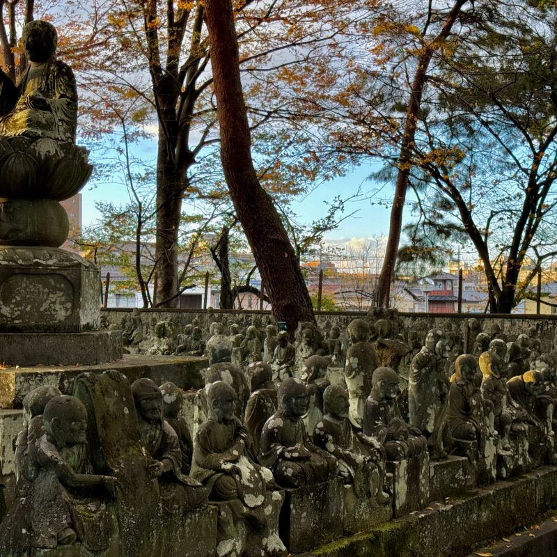 Monks of Kitain