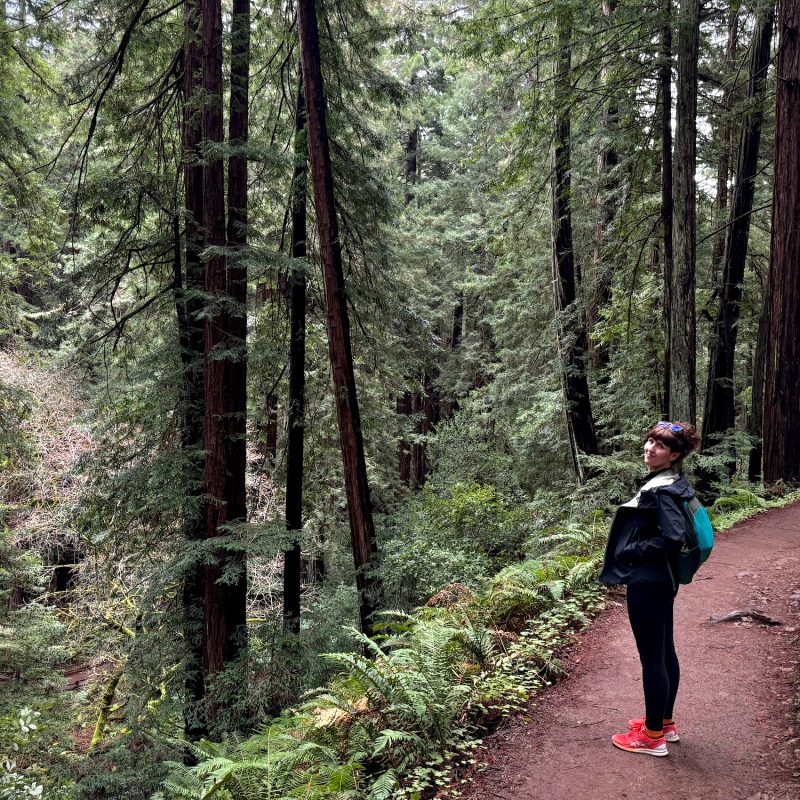 Walking Muir Woods - Before