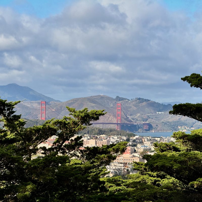 Golden Gate from High Up in SF