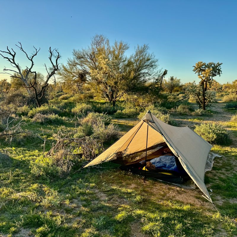 Desert Encampment
