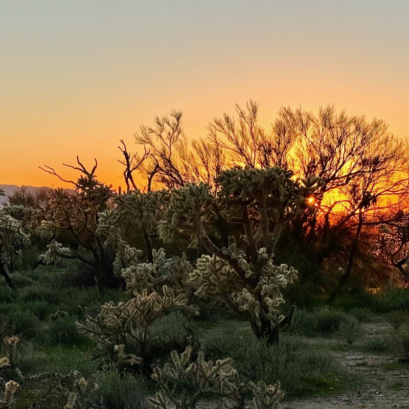 Desert Dusk Near Tom Mix