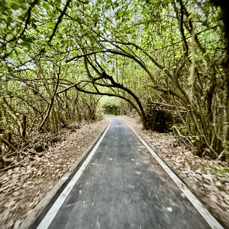 Bike Path Blur