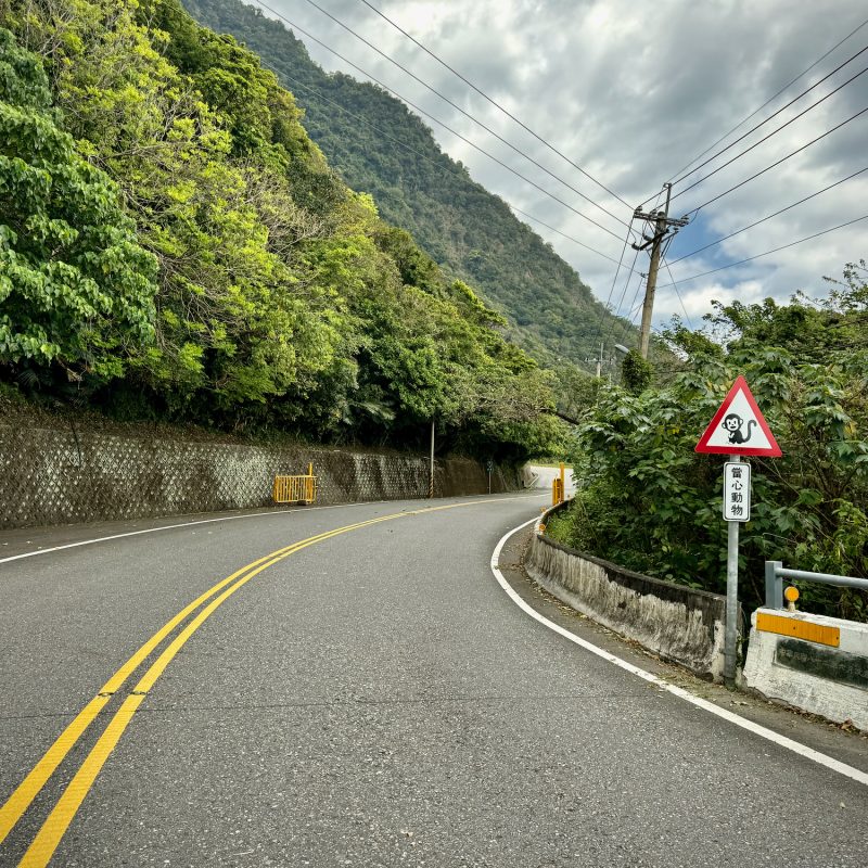 Monkey Crossing