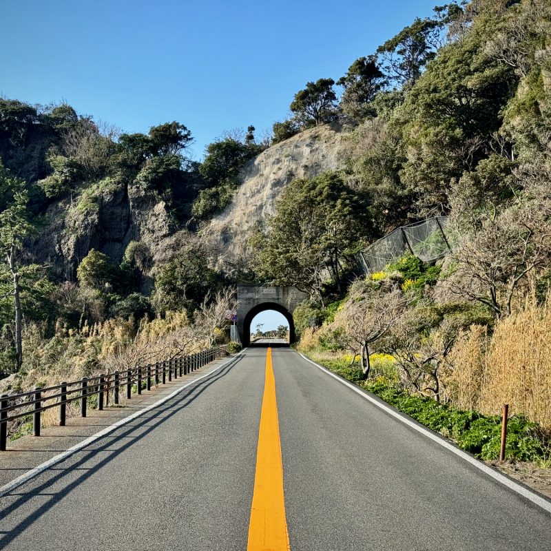 Picturesque Tunnel