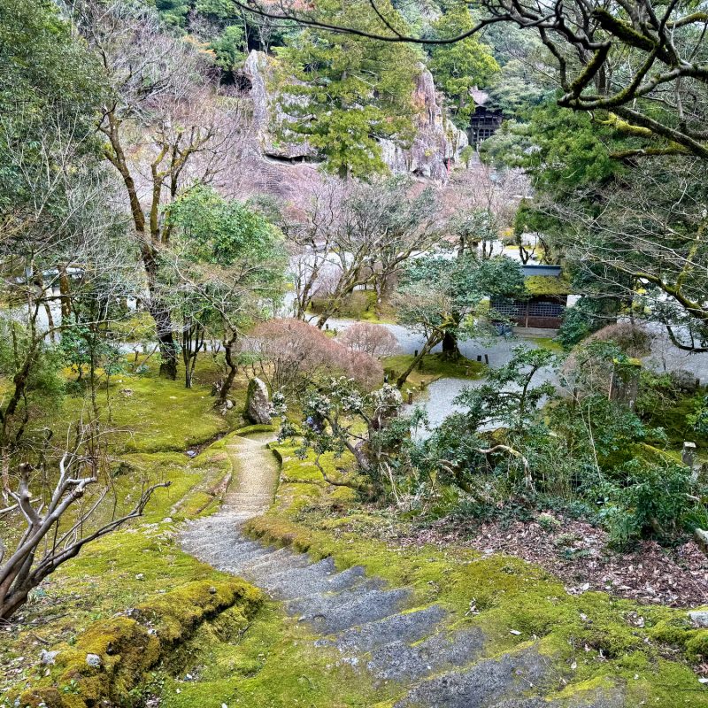 Pathways of Natadera
