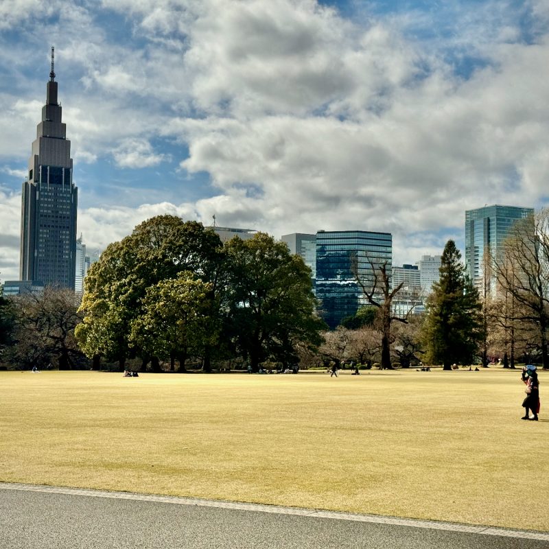 Golden Lawn