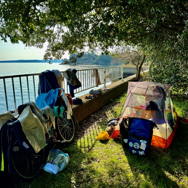 Rogue Encampment