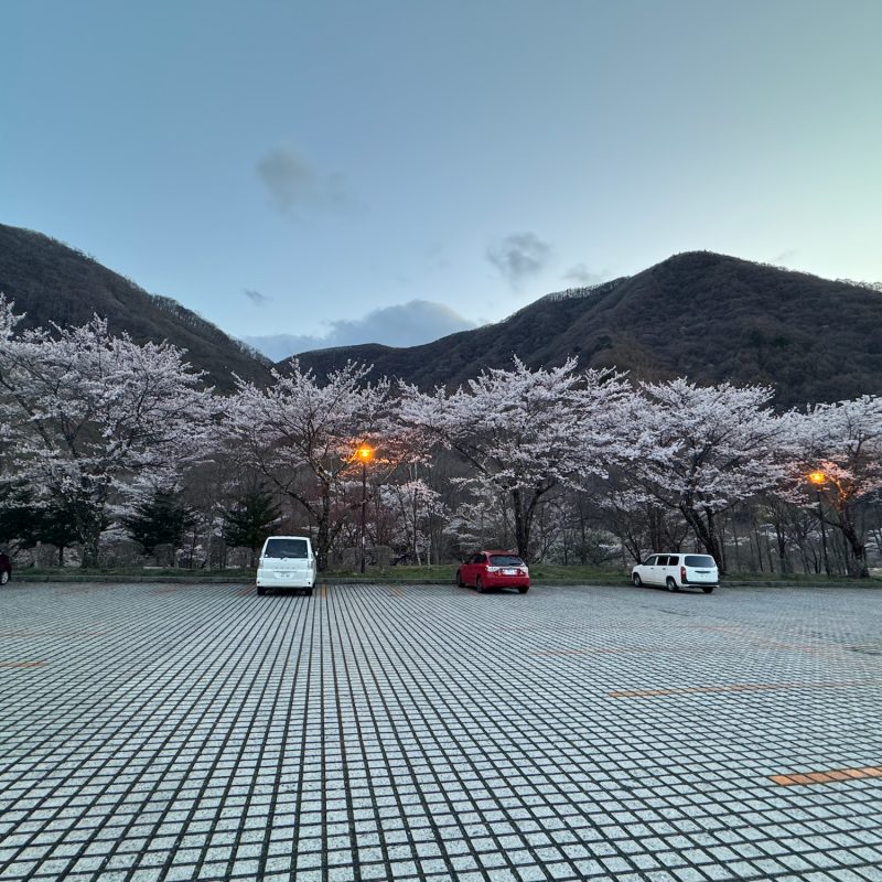 Sakura Rest Stop