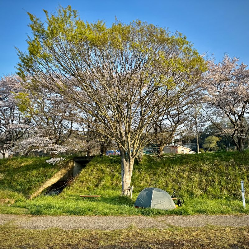 A Night's Rest in Uenohara