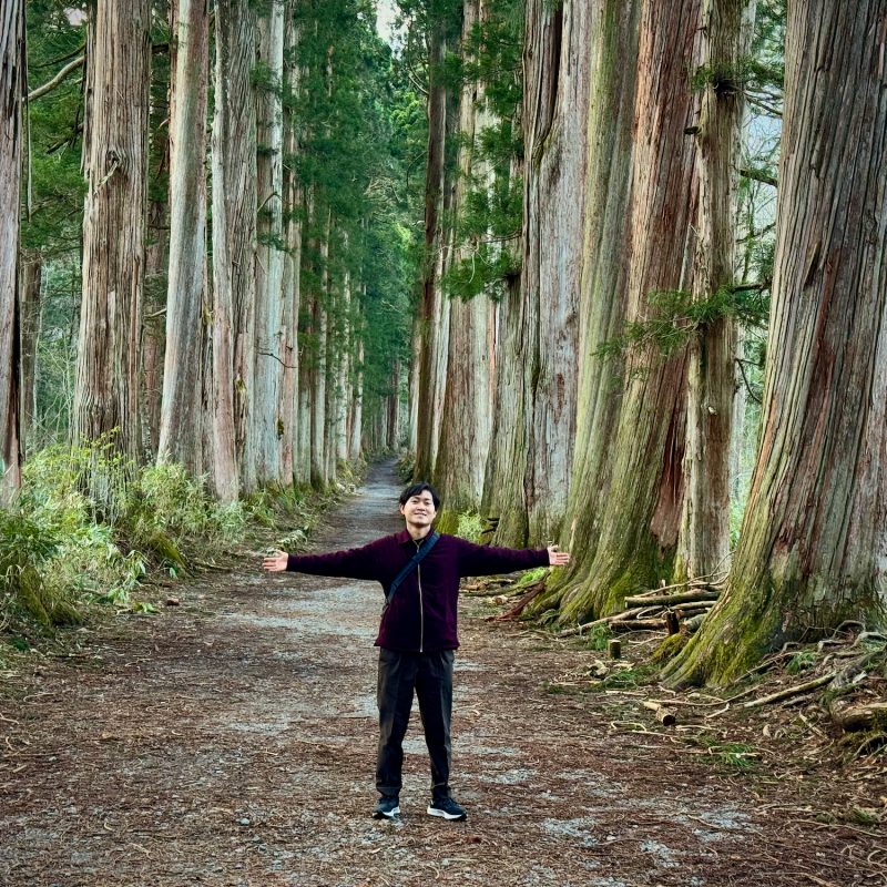 Cedars of Togakushi