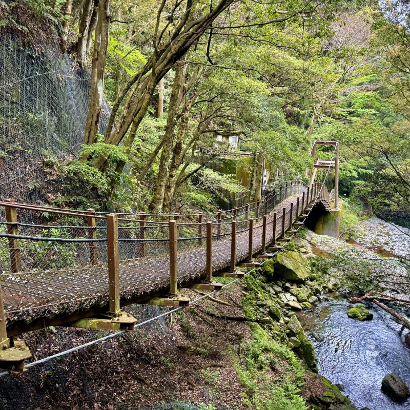 One Way Suspension Bridge