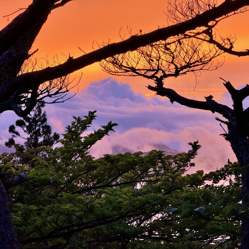 Sunset in Kawazu