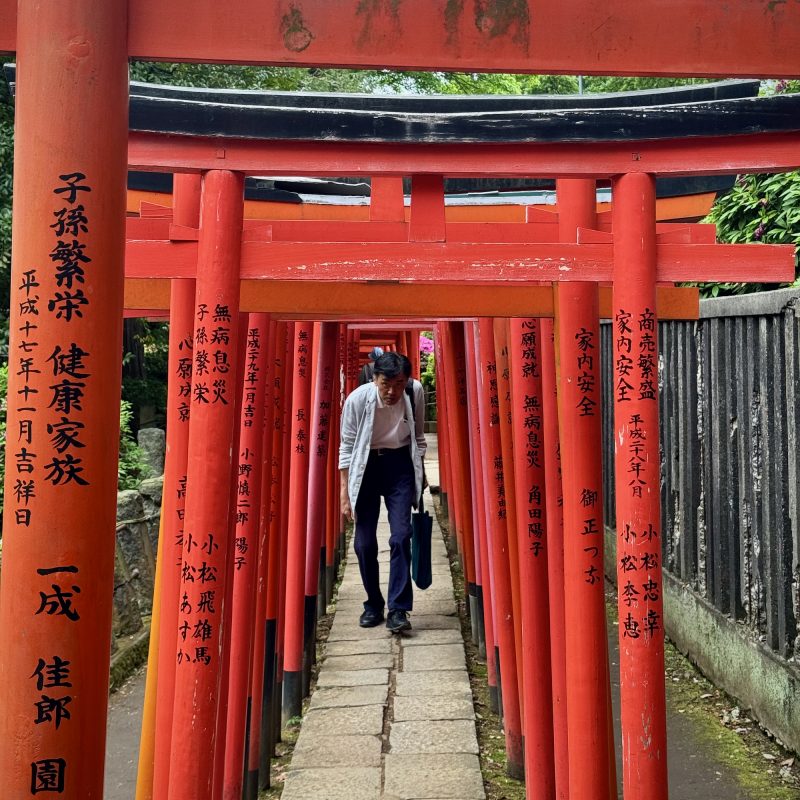 Torii at Nezu Shrine