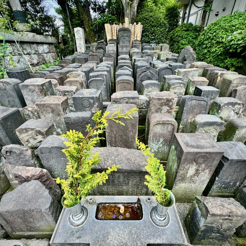 Graves Densely Packed