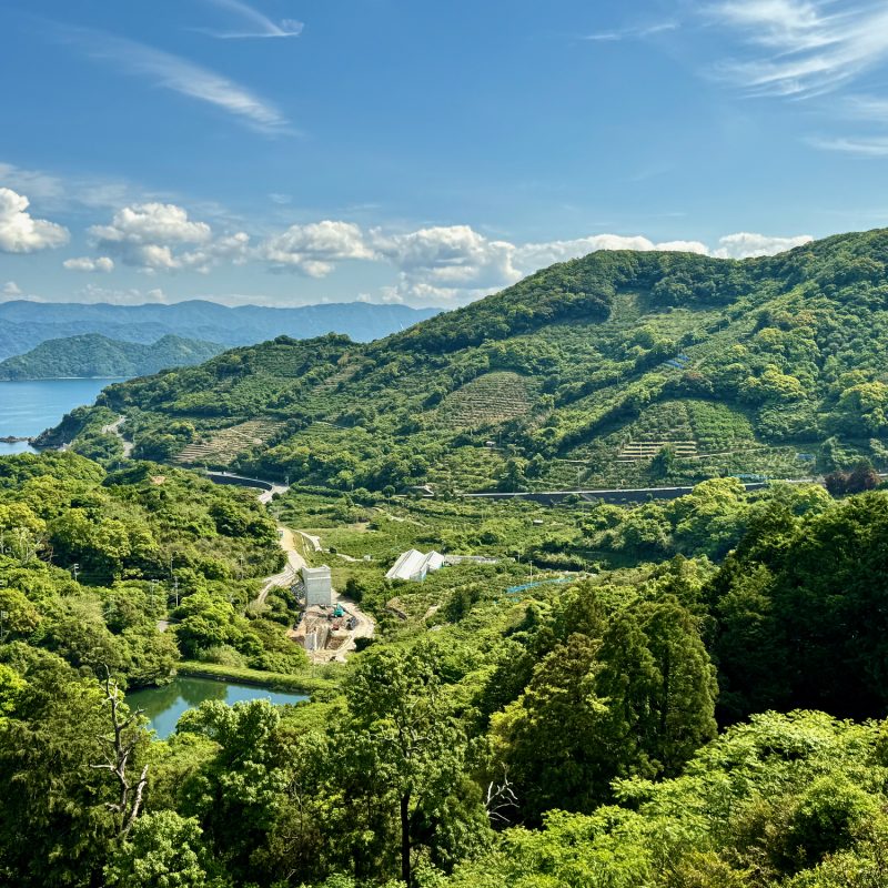 Winding Morning Roads Near Yura