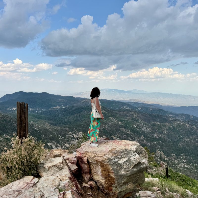 Gazing Out Atop Lemmon