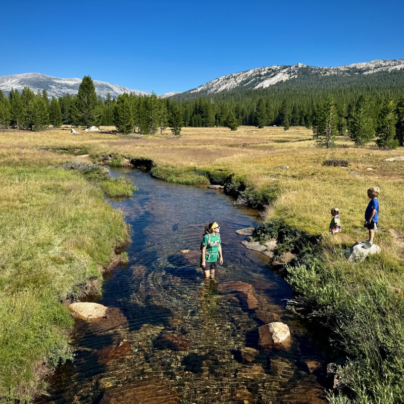 Tuolomne Meadows