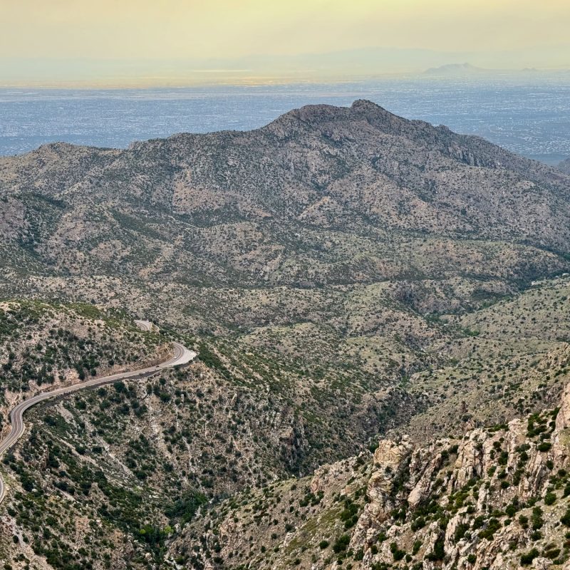 Catalina Highway Vibes