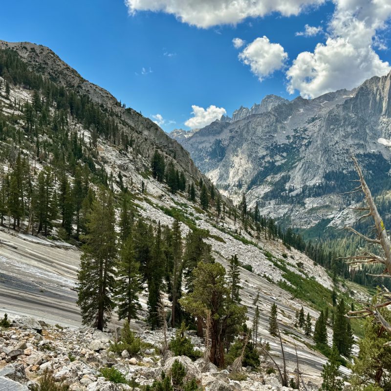 Stark Mountainside Flows