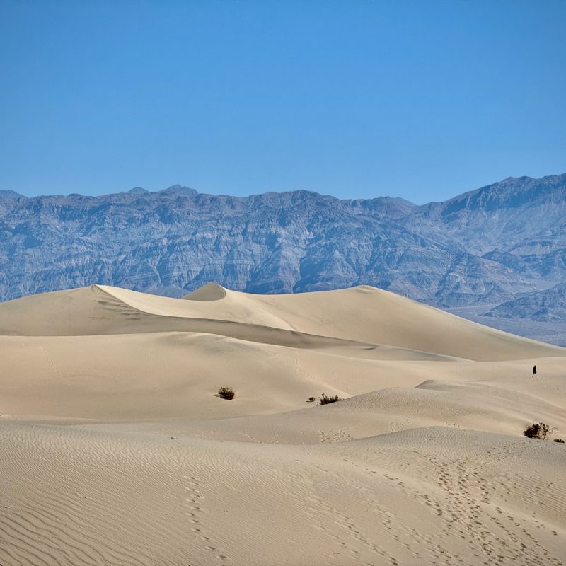 Far Out Dune Wanderer