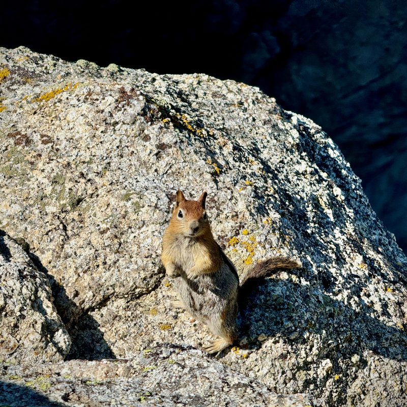 Cliffside Cutie