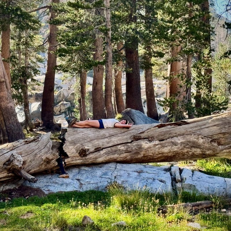 Relaxation in Nature