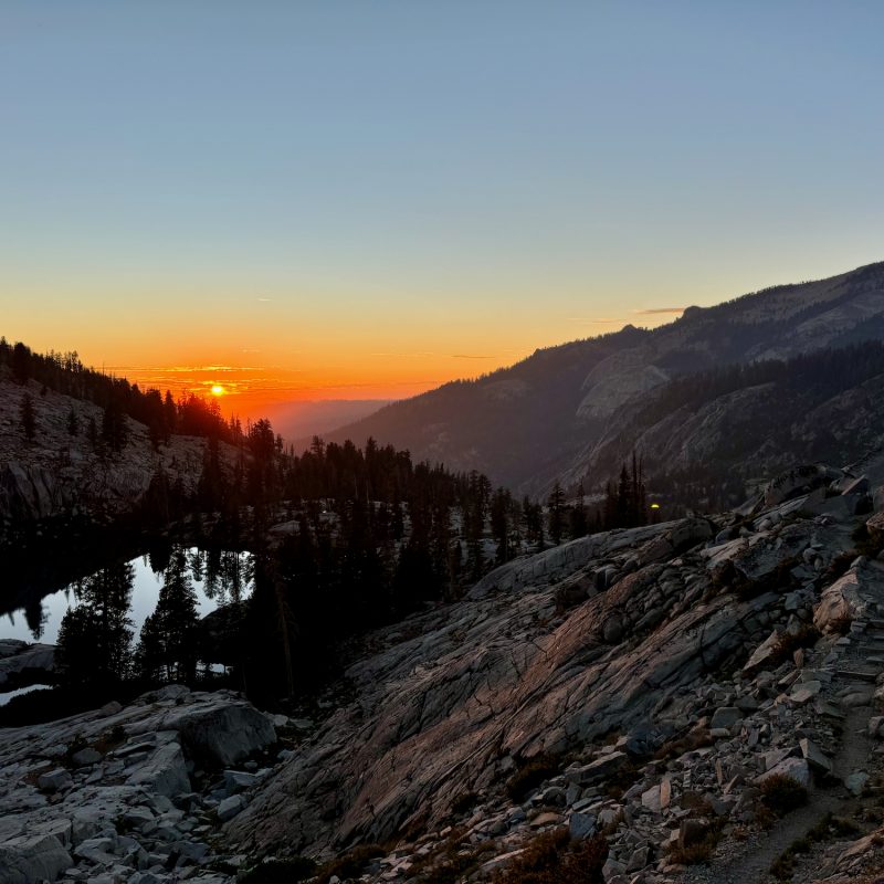 Dusk In Sequoia