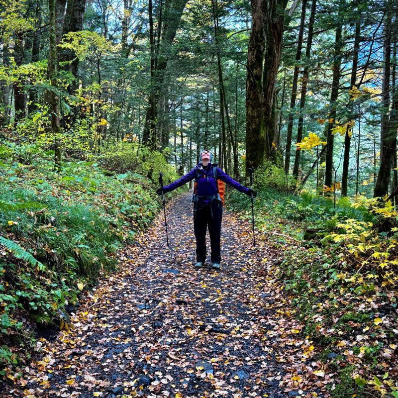 Leaf Strewn Walk