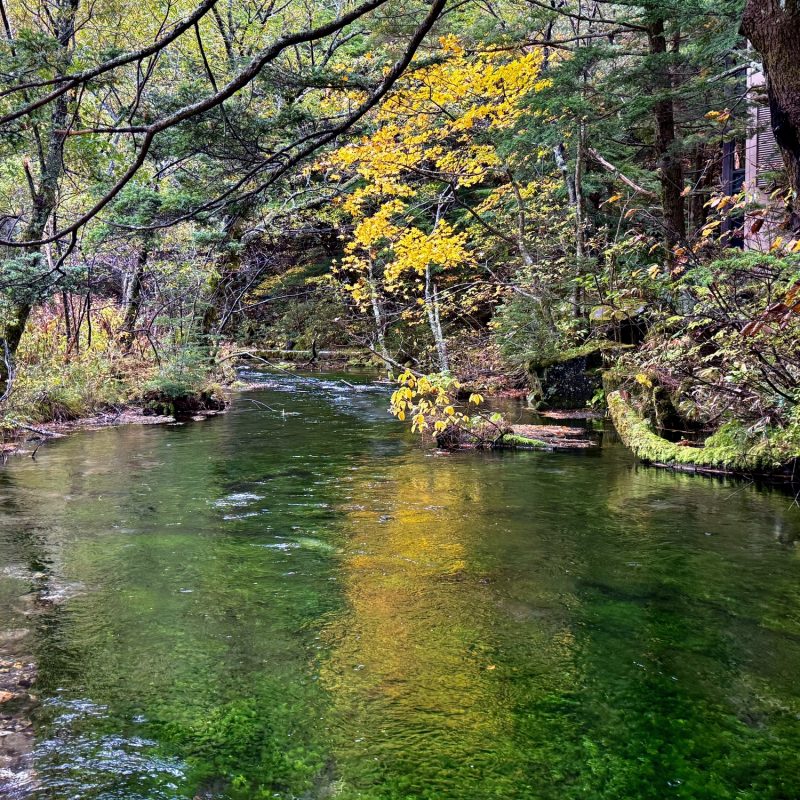 Emerald Creek