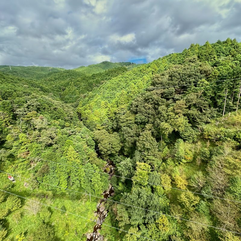 Ziplines below Mishima Sky Walk