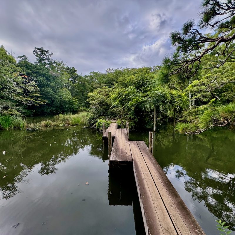 Mindful Walking