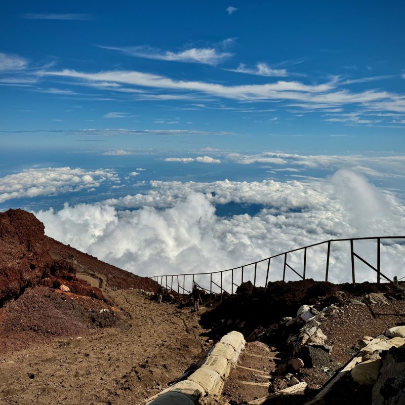 Skywalking